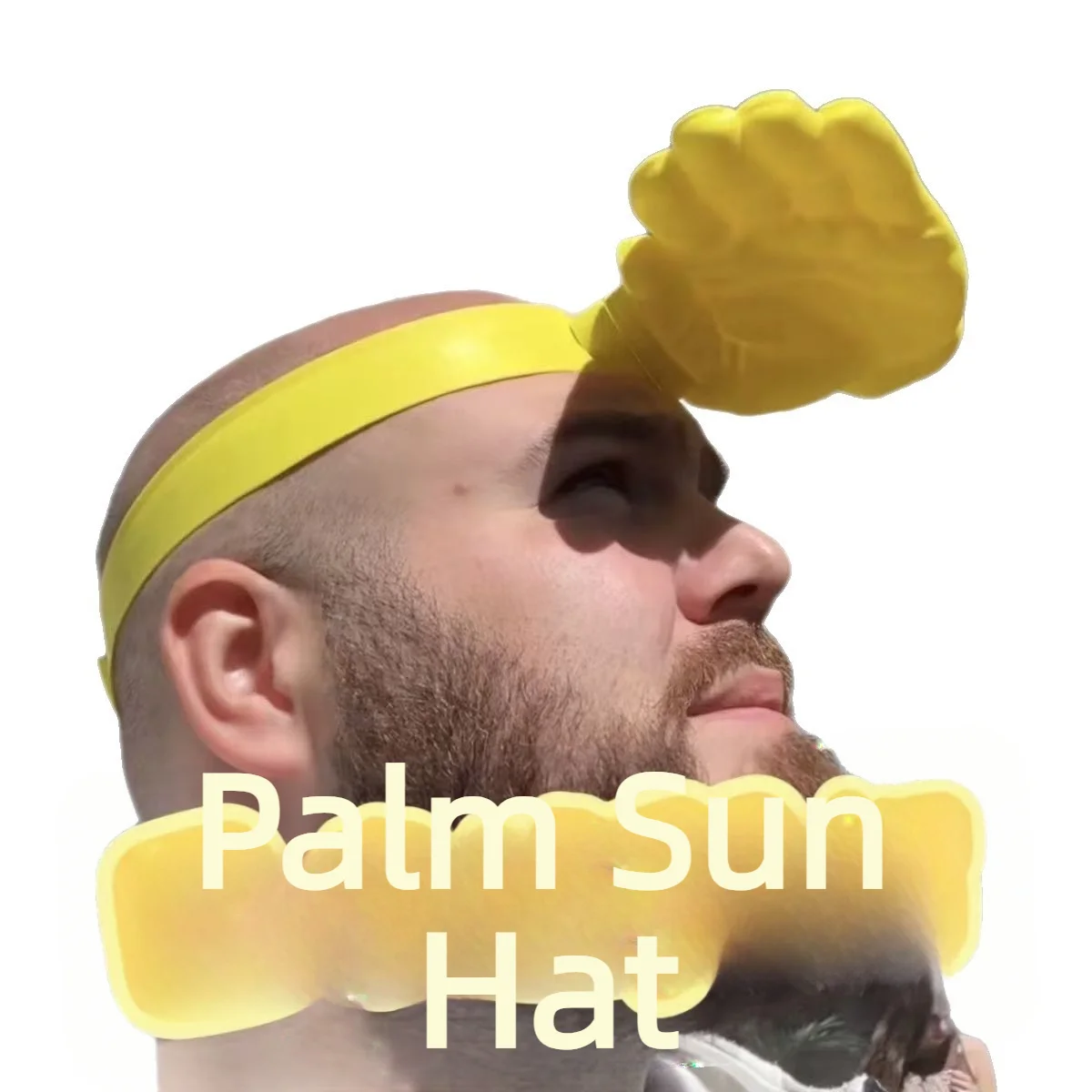 1/3Pcs Novelty 3D Palm Hand Sh - Visor Sun Hat recension och pris